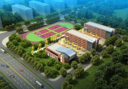 体育生报考怎么报