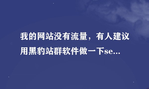 我的网站没有流量，有人建议用黑豹站群软件做一下seo优化？