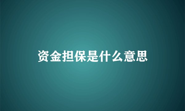 资金担保是什么意思
