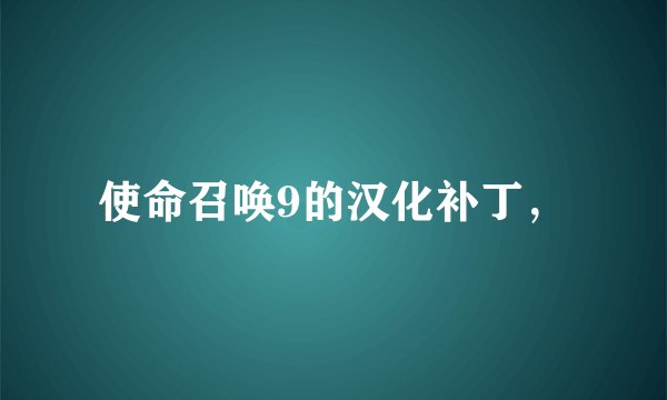 使命召唤9的汉化补丁，