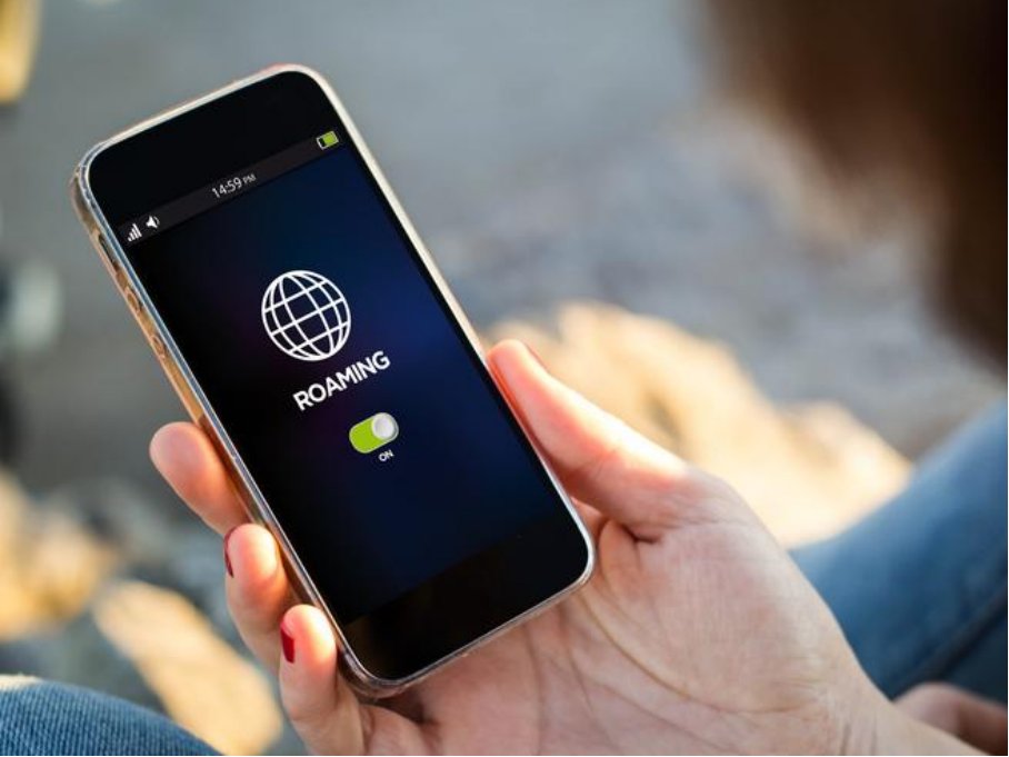 漫游是什么意思