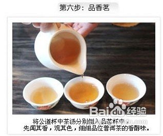 普洱茶要怎么泡才好喝？