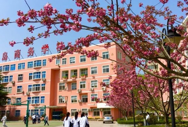青岛商务学校地址