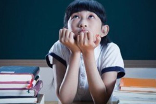 尽力的尽的笔顺