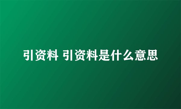 引资料 引资料是什么意思
