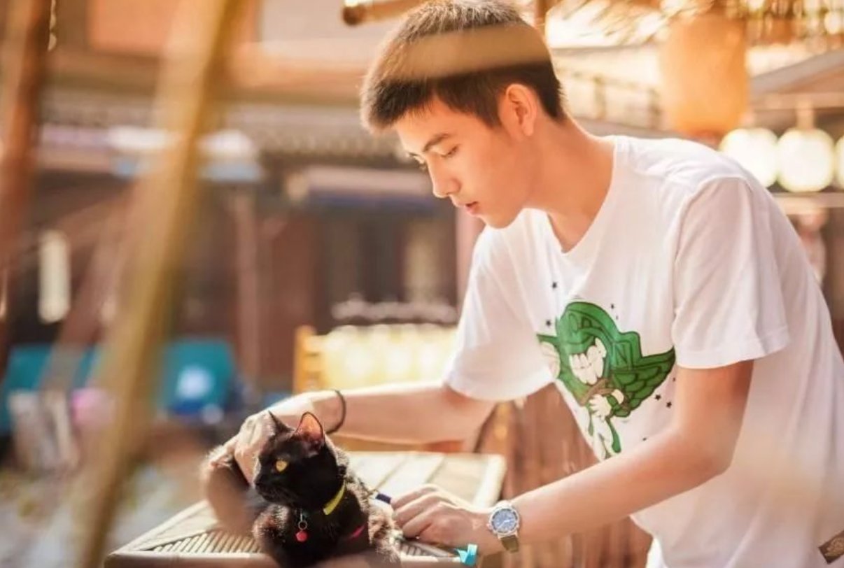 陈飞宇都有哪些作品