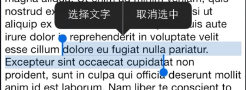 如何复制文本中间的空格呢？