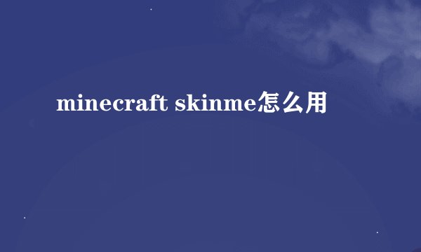 minecraft skinme怎么用