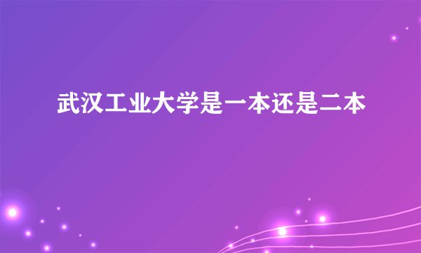武汉工业大学是一本还是二本