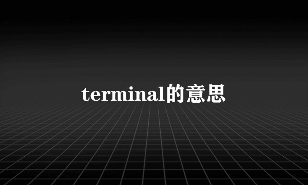 terminal的意思