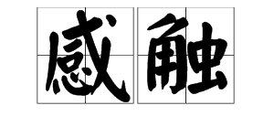“感悟”和“感触”怎么区别?