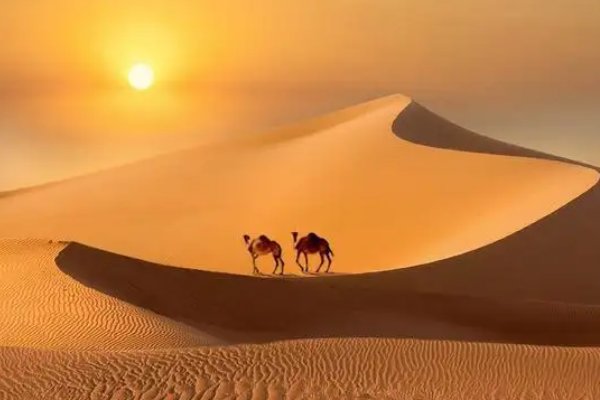 心之所向的地方指的是什么？