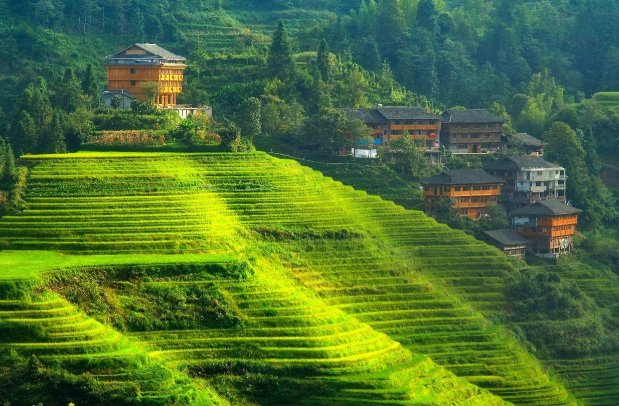 今朝晴朗可喜作文怎么写的