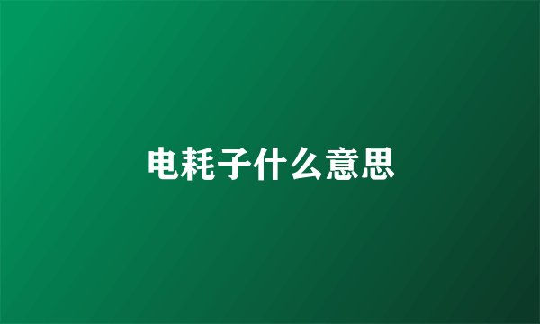 电耗子什么意思