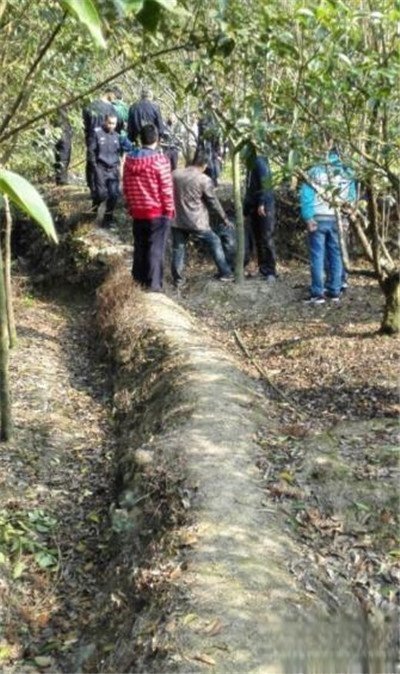 浙江女孩吴诗卉死得有多惨 为什么叫肛门事件