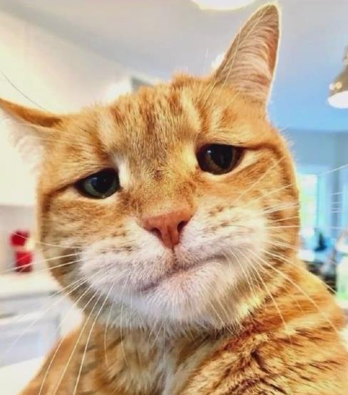 作揖打辑是什么意思?