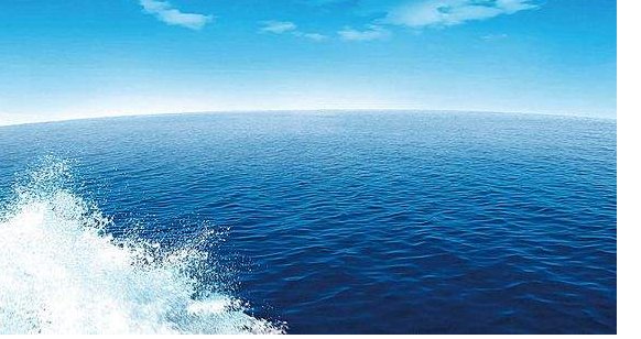 爸爸妈妈和我的类似比喻[爸爸是一棵大树，妈妈是一棵大树，我是一只快乐的小鸟，在爸爸妈妈之间飞来飞去]