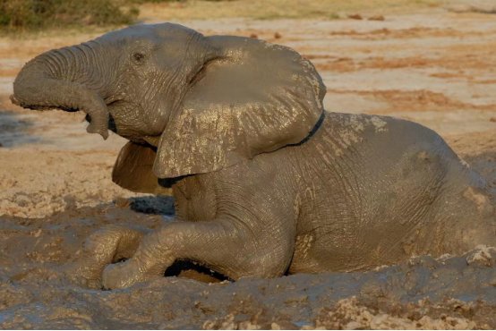 拖泥带水是啥意思