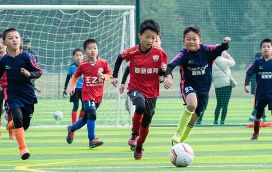 八一队解散的原因是什么