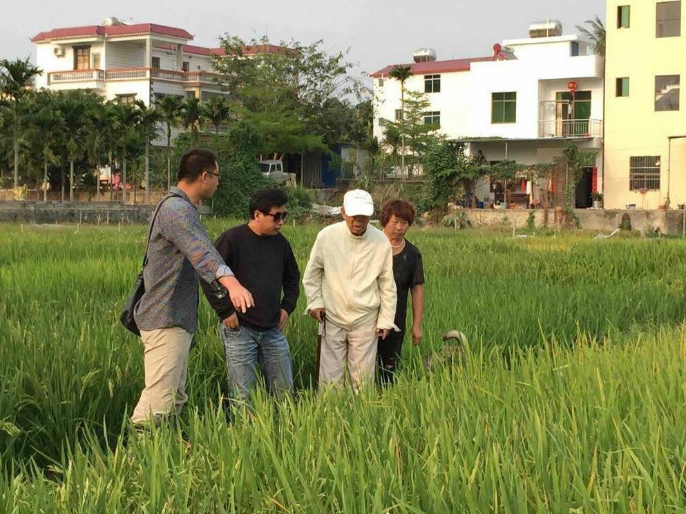 著名水稻专家杨振玉因病去世，享年95岁，他的一生有过哪些成就？