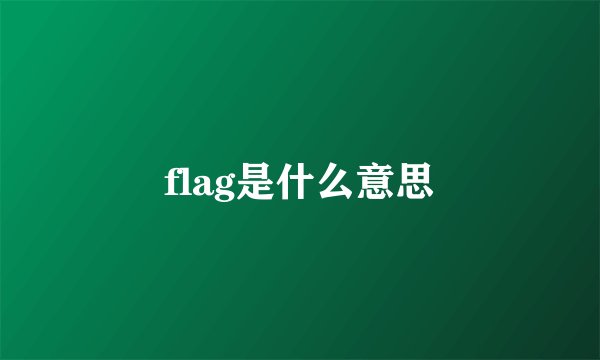 flag是什么意思