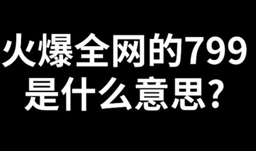 799是什么意思？