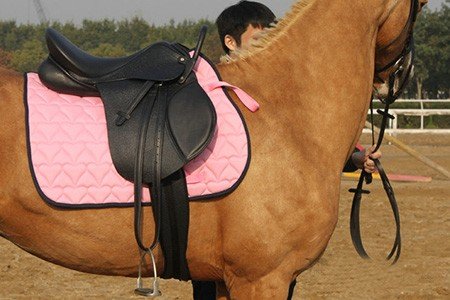 鞍的拼音和意思