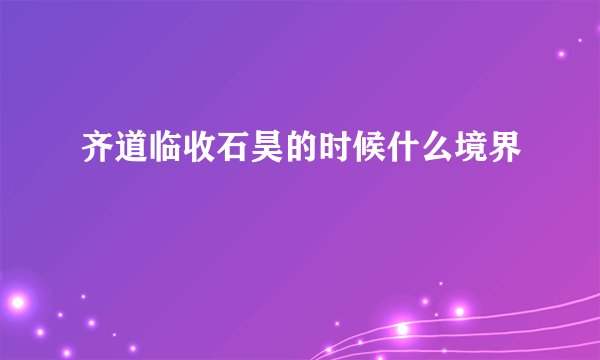 齐道临收石昊的时候什么境界