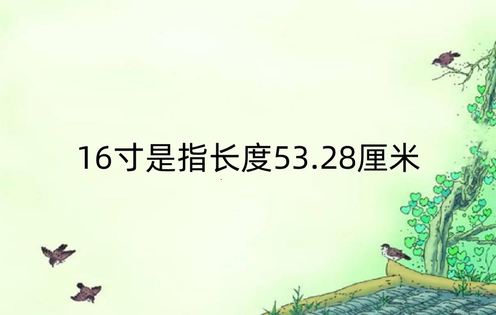 十六寸等于多少厘米