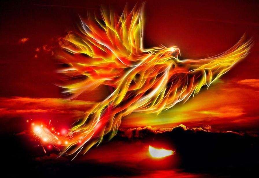 为什么有凤凰泣血这一说法？