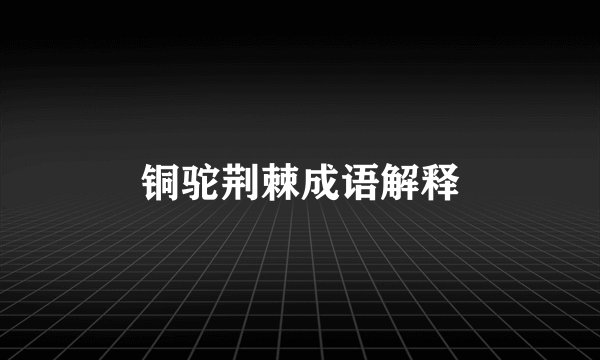 铜驼荆棘成语解释