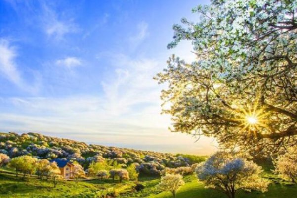 美誉的意思是什么