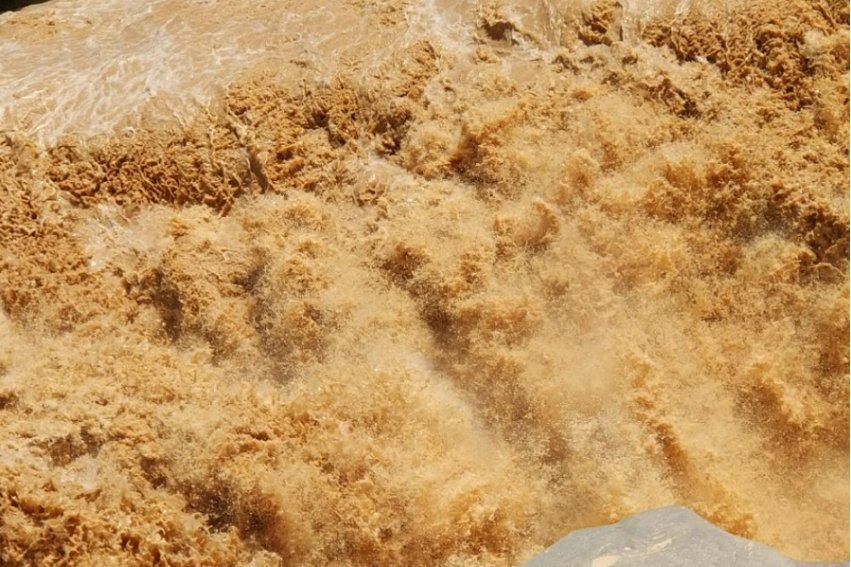 人生洒脱不羁的诗句