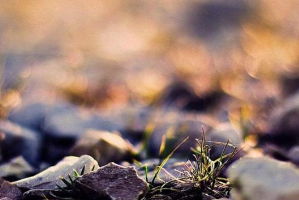 力学笃行履践致远意思