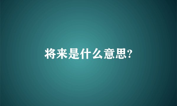 将来是什么意思?
