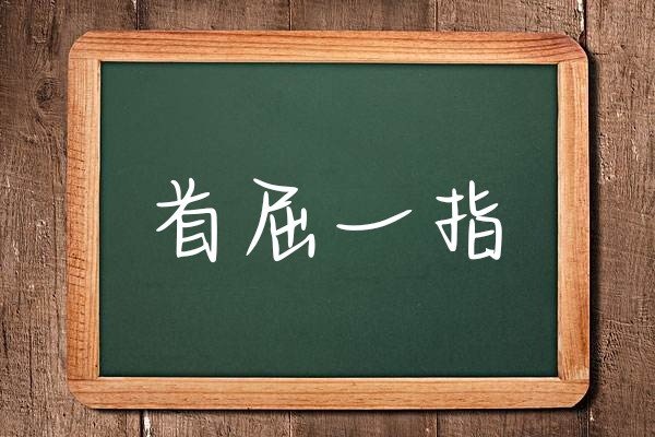 首屈一指的意思