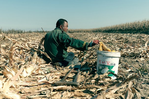 多收了三五斗揭示了什么