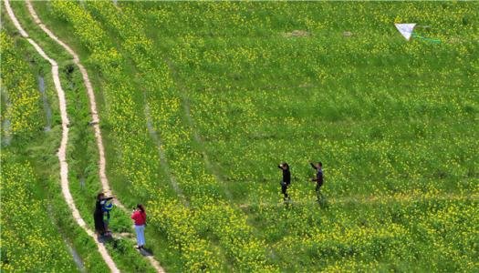 清明节为什么要踏青?