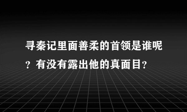 寻秦记里面善柔的首领是谁呢？有没有露出他的真面目？