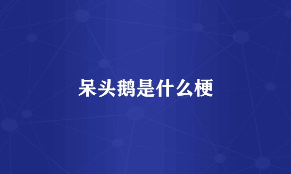 呆头鹅是什么梗