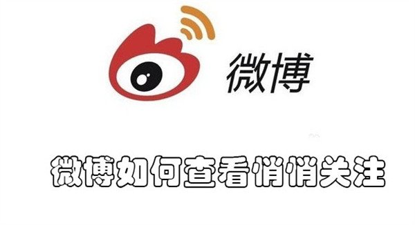 如何查看悄悄关注