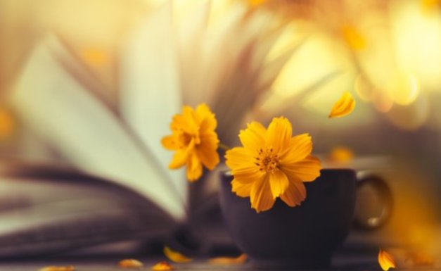 没有之一前半句是什么？