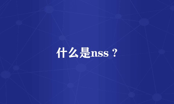 什么是nss ?