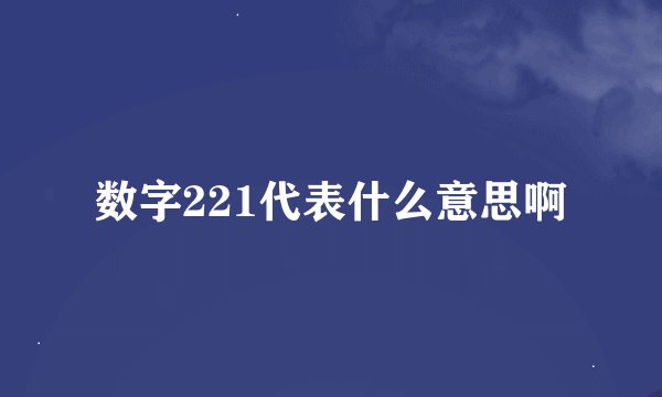数字221代表什么意思啊