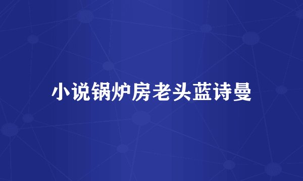 小说锅炉房老头蓝诗曼