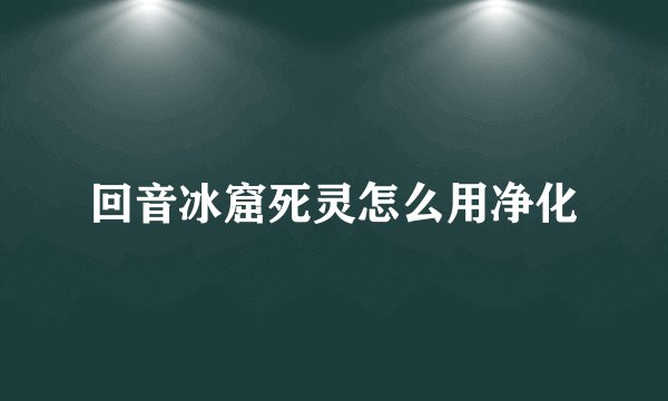 回音冰窟死灵怎么用净化