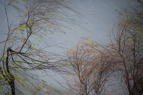 风吹雨打的意思