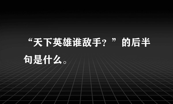 “天下英雄谁敌手？”的后半句是什么。