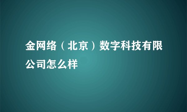 金网络（北京）数字科技有限公司怎么样