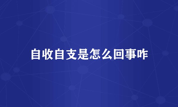 自收自支是怎么回事咋